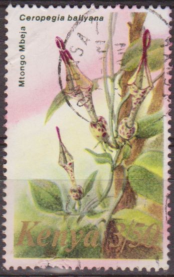 Kenia 1983 Scott 257 Sello º Flora Ceropegia Ballyana Kenya