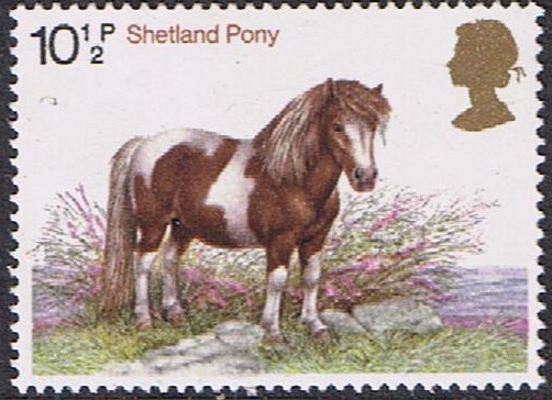 CABALLOS DE RAZA