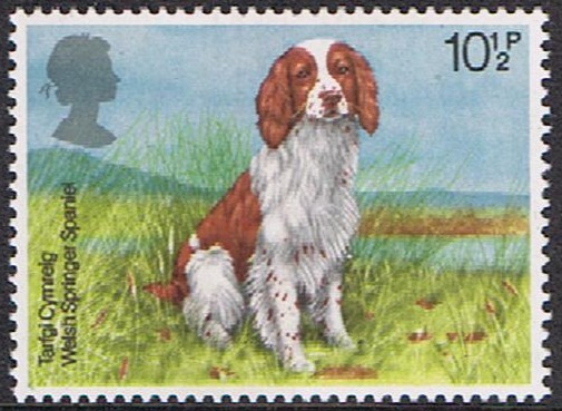EXPOSICIÓN CANINA 