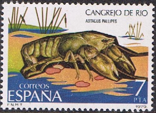 FAUNA. INVERTEBRADOS