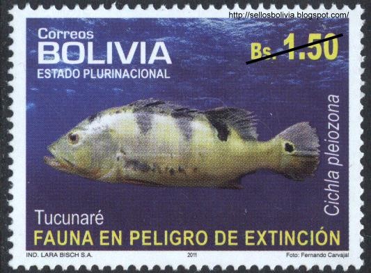 Fauna en peligro de extinción - Peces