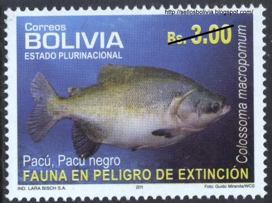 Fauna en peligro de extinción - Peces