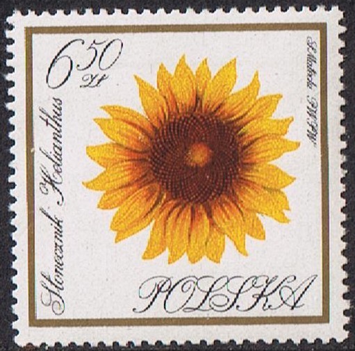FLORES DEL JARDÍN
