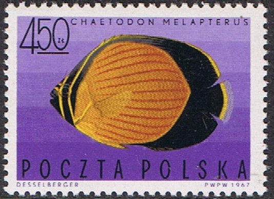 PECES EXÓTICOS