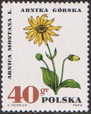 PROTECCIÓN DE LAS PLANTAS