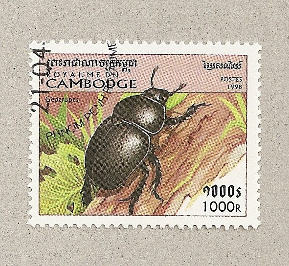 Geotrupes