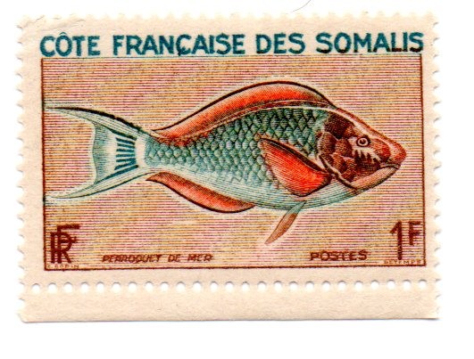 COTE FRANCAISE DES SOMALIS