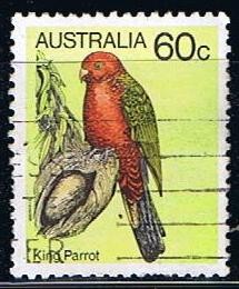 King Parrot