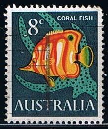 Scott  404  coral Fish