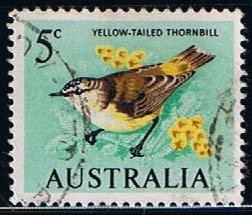 Yellow-tailed Thornbill