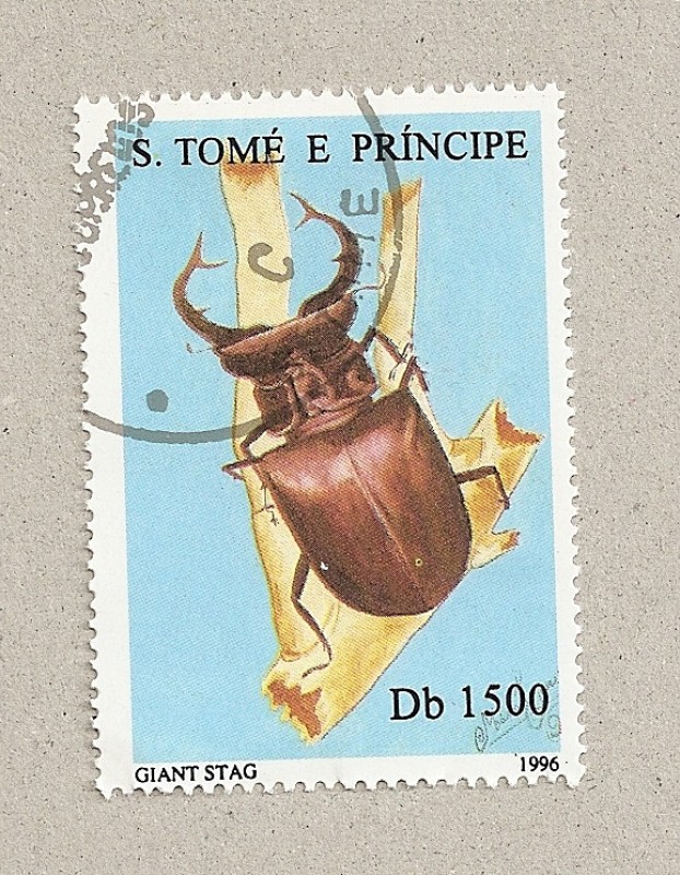 Ciervo volante gigante