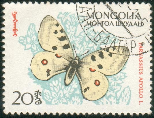 Mariposa