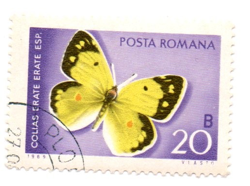 FLORA Y FAUNA