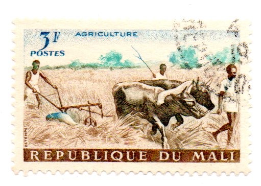 AFRICA-AGRICULTURA