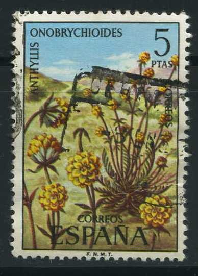 E2223 - Flora