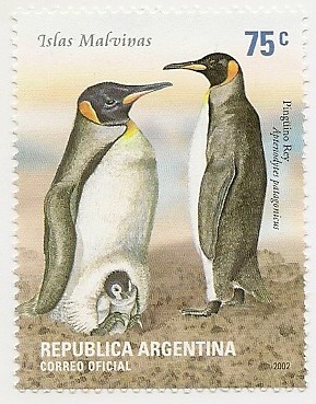 Pingüino Rey