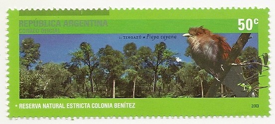 Tingazú (Reserva Natural Estricta Colonia Benítez)