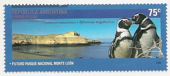 Pingüino Patagónico (Monte León)