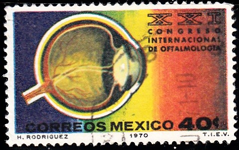 Congreso Oftalmología. Detalle ocular