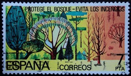 Protege el bosque - Evita los incendios