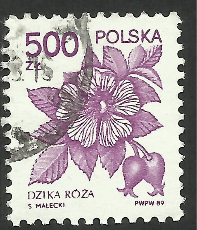Flora