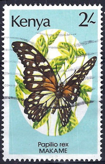 Martiposa. Papilio Rex.