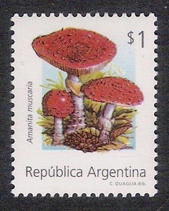 SETAS-HONGOS: 1.106.054,00-Amanita muscaria