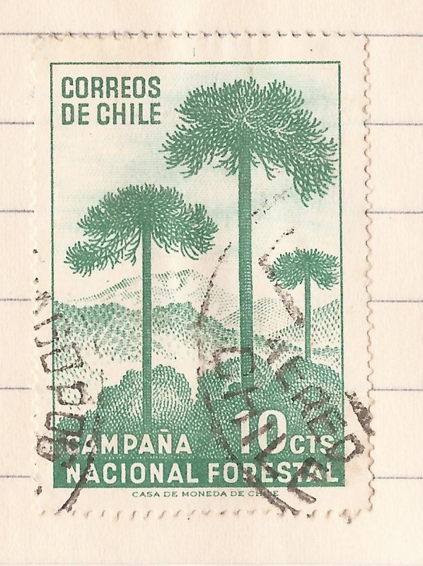 Campaña Nacional Forestal