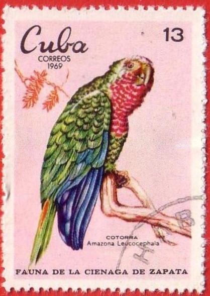 Fauna de la cienaga de Zapata