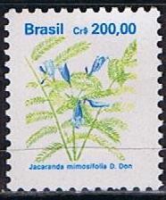 Jacacada mimosifolia