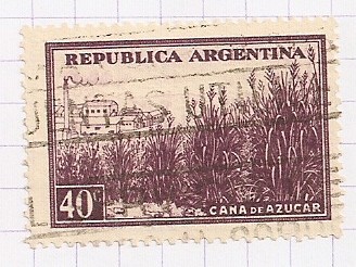 Caña de azucar