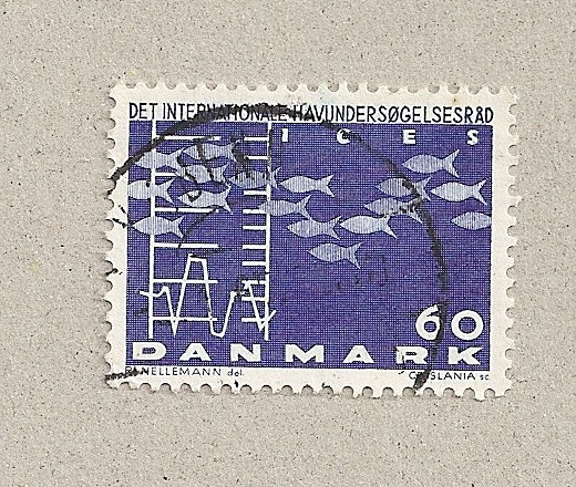 Peces