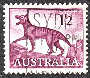 Tasmanian Tiger