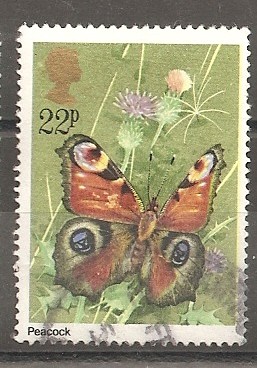 Fauna. Mariposas.