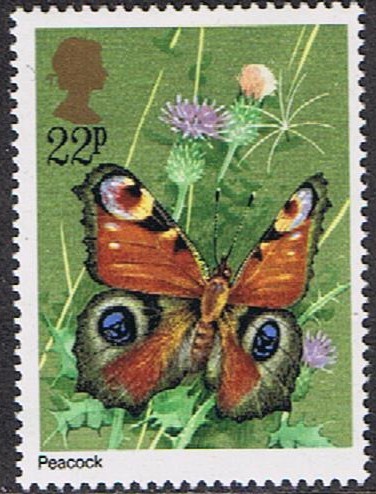 MARIPOSAS. PAVO REAL (INACHIS IO)