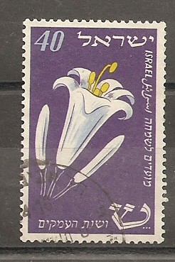 Festival 1952