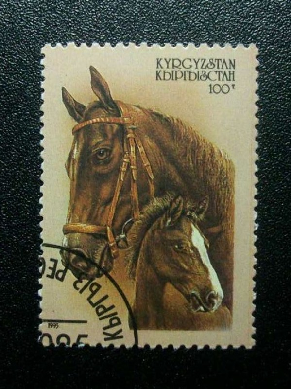 Caballos.