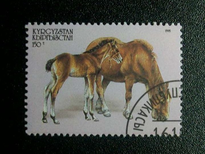 Caballos.