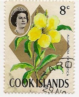 Flores de Cook Islands
