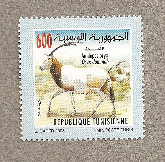 Antílope Oryx