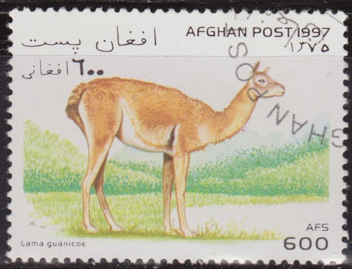 Afganistan 1997 Scott 1392 Sello º Fauna Lama Guanicoe 600AFS Afghan Poste