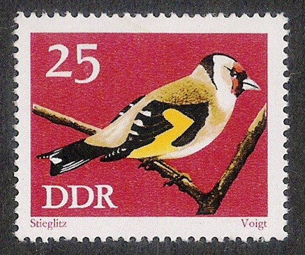 AVES: 2.152.105,00-carduelis carduelis