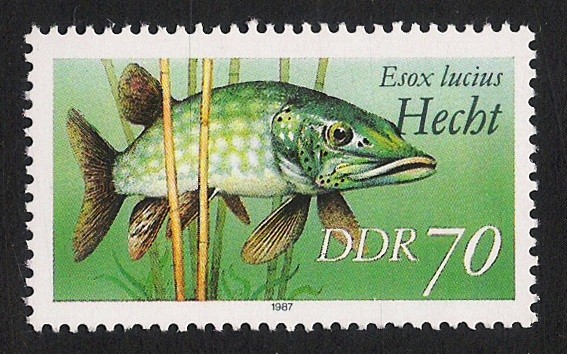 PECES: 3.152.056,00-Esox lucius