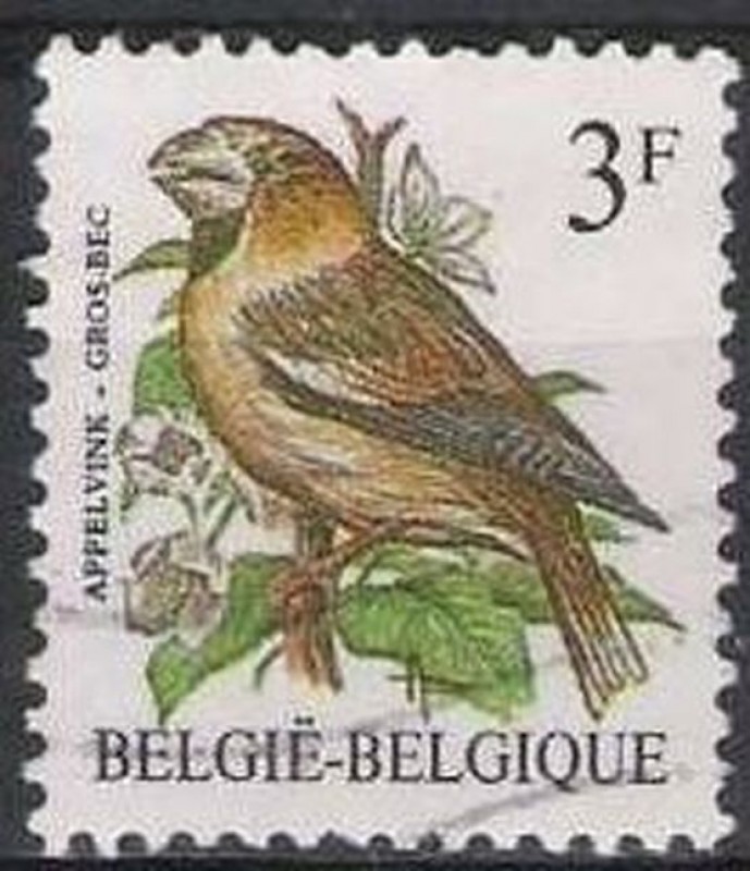 Belgica 1985 Scott 1219 Sello º Aves Oiseaux Gros Bec Appelvink 3fr Belgique Belgium
