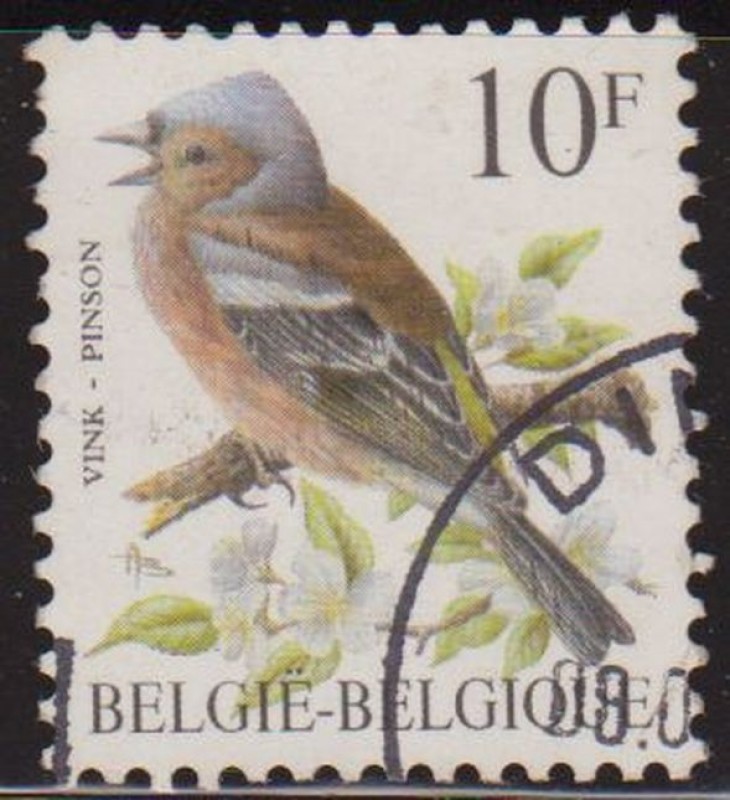 Belgica 1986 Scott 1230 Sello º Aves Oiseaux Pinson Pinson 10fr Belgique Belgium 