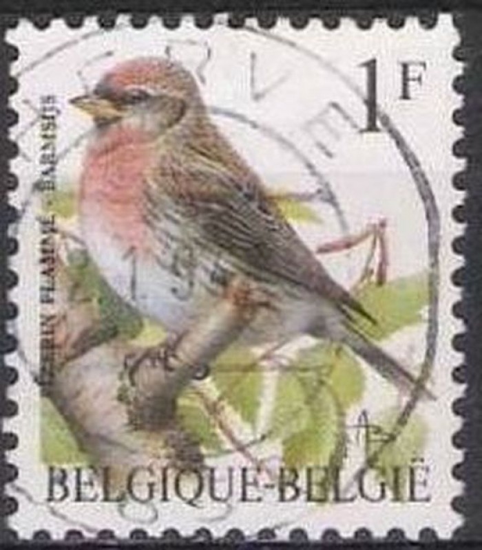 Belgica 1992 Scott 1432 Sello º Aves Oiseaux Sizerin flamme 1fr Belgique Belgium