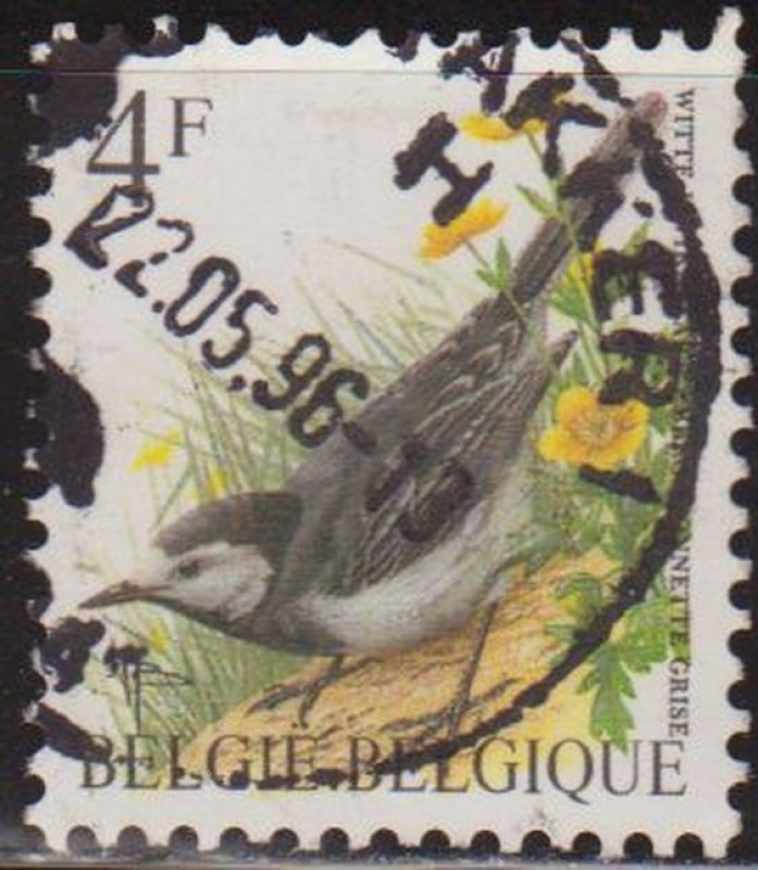 Belgica 1992 Scott 1436 Sello º Aves Oiseaux Bergeronette Grise 4fr Belgique Belgium 