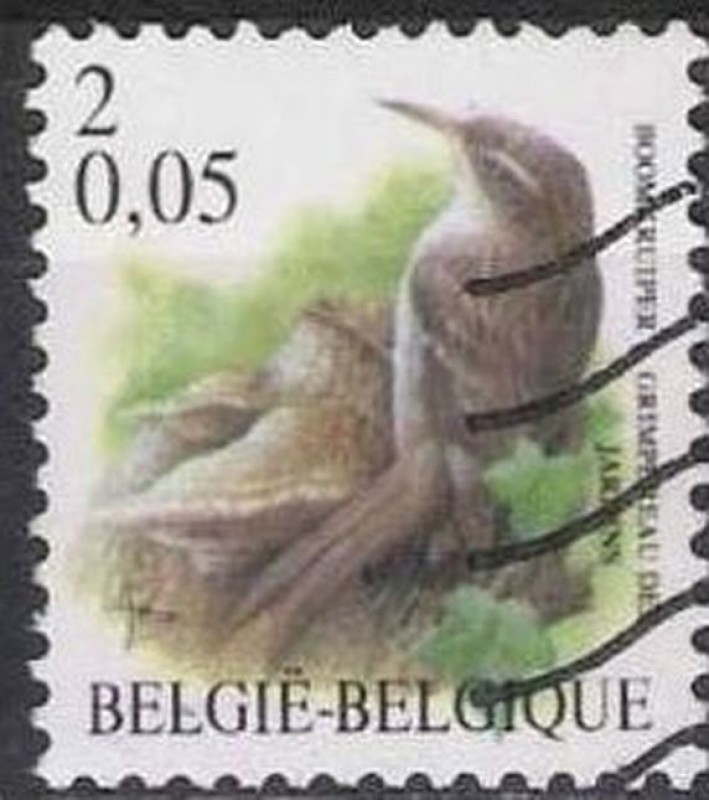 Belgica 2000 Scott 1786 Sello º Aves Oiseaux Grimpereau de Jardins 2fr Belgique Belgium