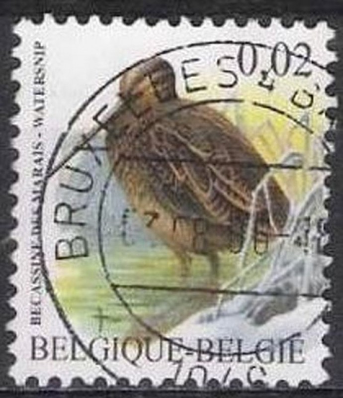 Belgica 2003 Scott 1971 Sello º Aves Oiseaux Becassine des Marais 0,02€ Belgique Belgium