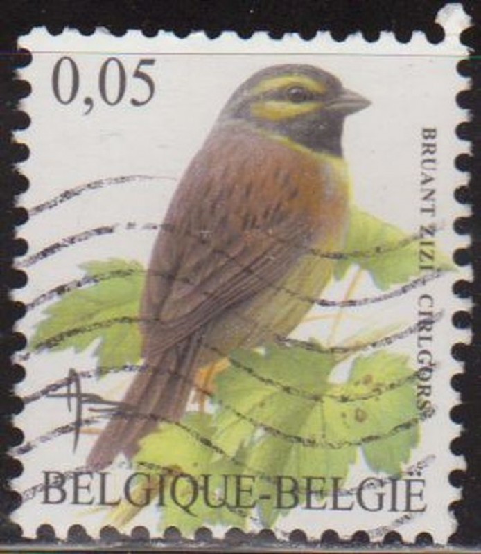 Belgica 2005 Scott 2072 Sello º Aves Oiseaux Bruant Zizi Cirlegors 0,05€ Belgique Belgium 